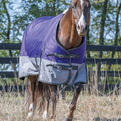 Premium Turnout Blanket, Medium Weight 200g, 600D