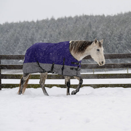 Premium Turnout Blanket, Medium Weight 200g, 600D
