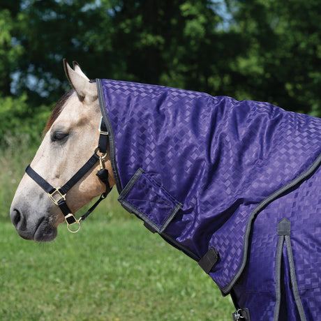 Premium Turnout Neck Cover, Medium Weight 200g, 1200D