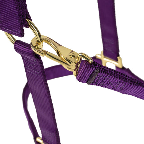 Poly Horse Halter, Adjustable, Weanling to Large