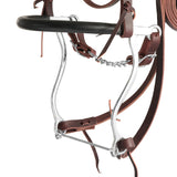 Browband Hackamore Bridle