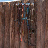 Wall Mount Bridle Rack