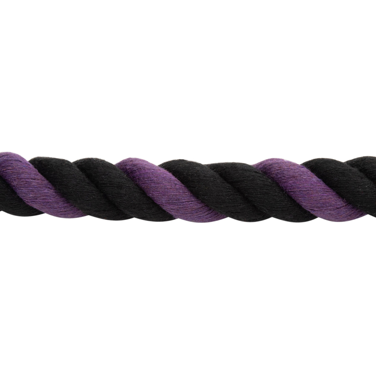Cotton Lead Rope with Brass Plated 225 Snap, 5/8" x 10'