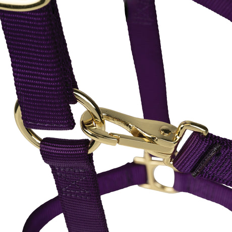 Poly Horse Halter, Non-Adjustable with Throat Snap, Weanling to Large