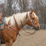 Patterned Poly Headstall