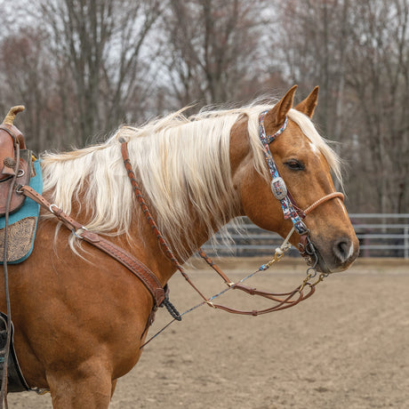 Patterned Poly Headstall