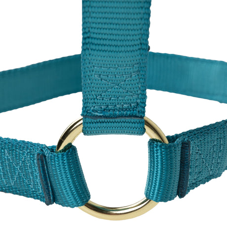 Poly Horse Halter, Non-Adjustable with Throat Snap, Weanling to Large