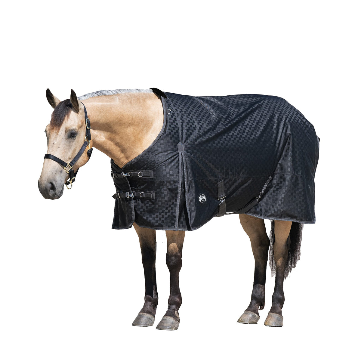 Premium Turnout Blanket, Heavy Weight 300g, 1200D