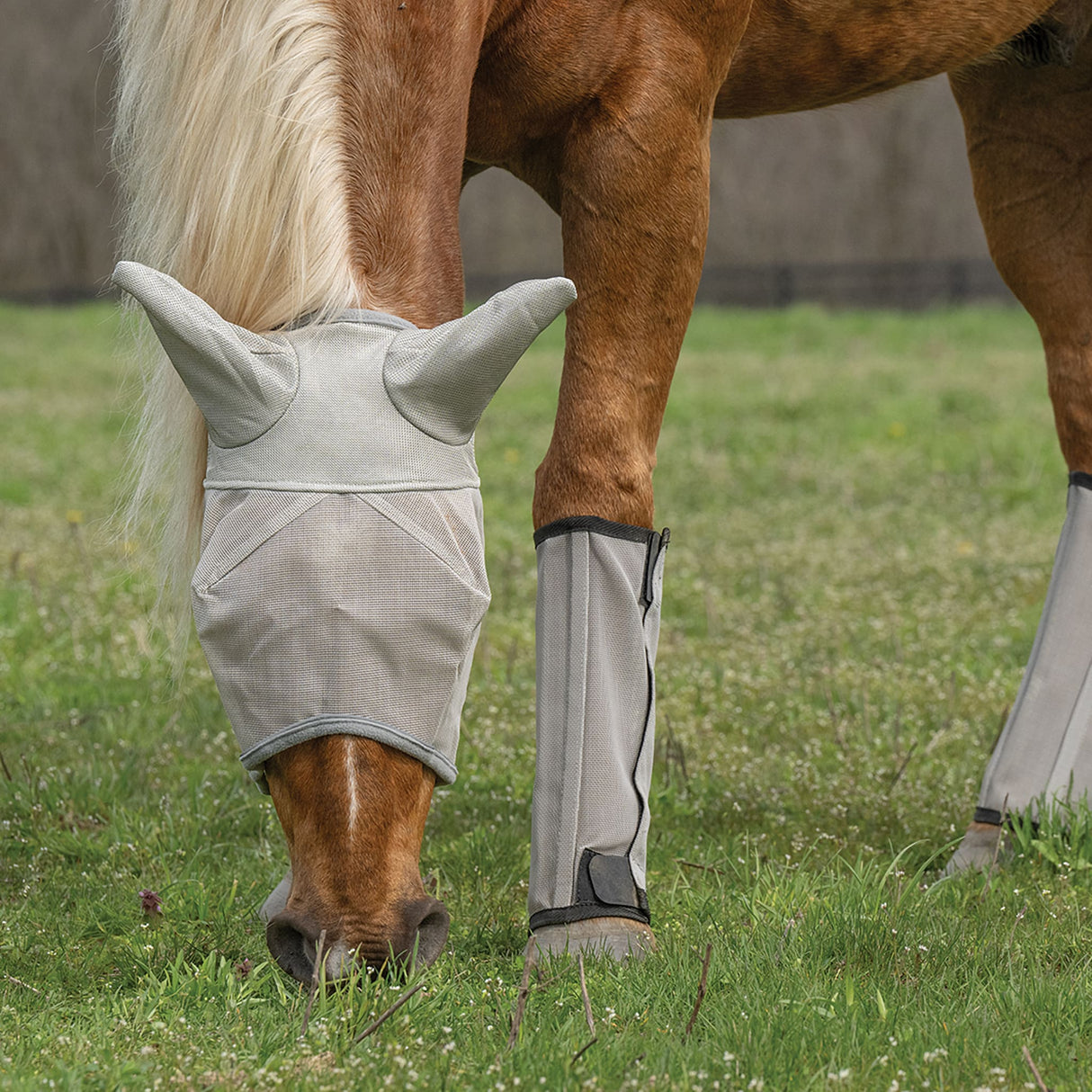 Horse Fly Boots - Set of 4, Mesh, Breathable, UV Protection
