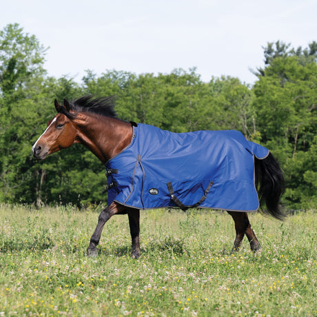 Premium Turnout Blanket, Medium Weight 200g, 600D