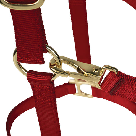 Poly Horse Halter, Non-Adjustable with Throat Snap, Weanling to Large