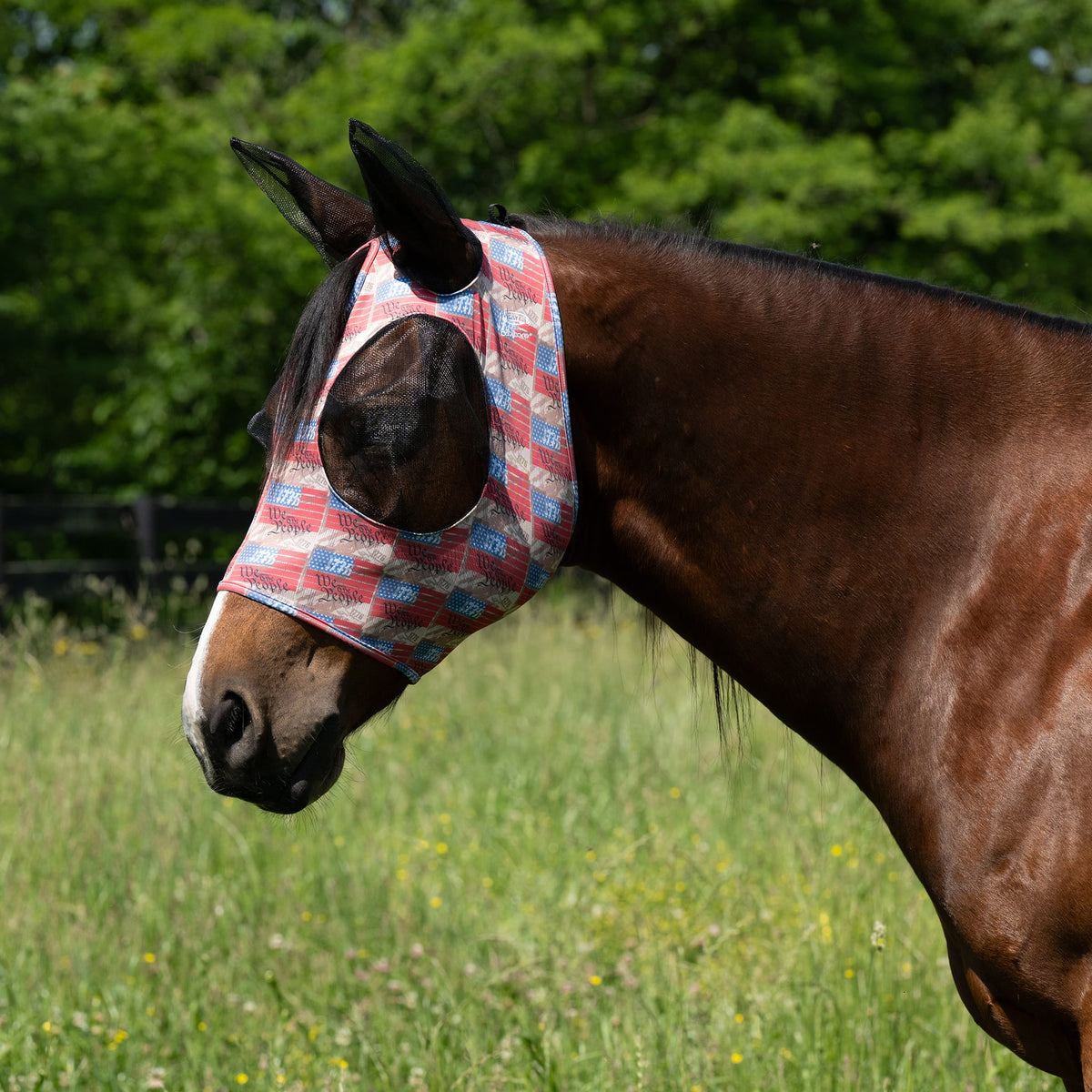 Equine Lycra® Fly Masks Powered by Coolcore®