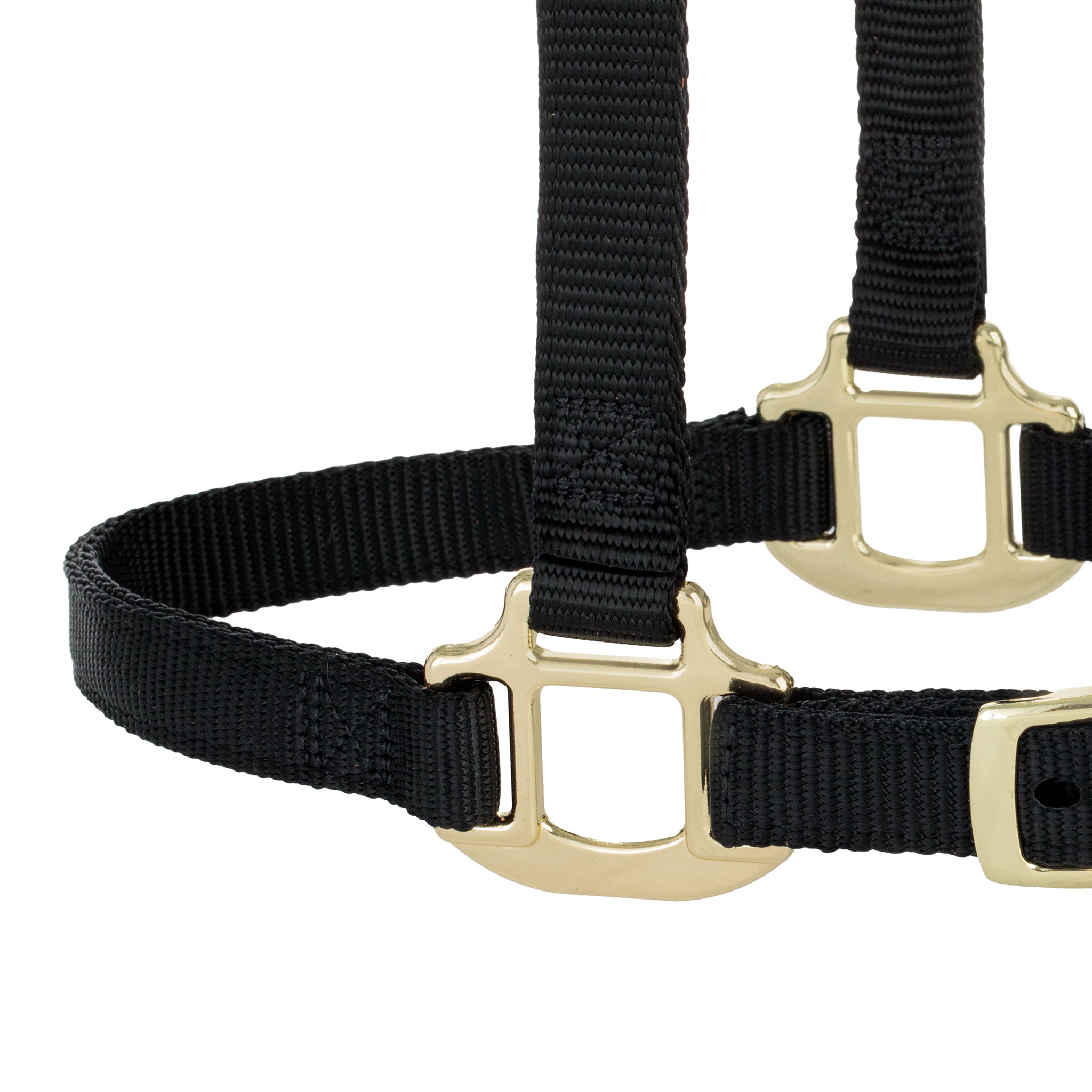 Breakaway Horse Halter with Chin and Throat Snap – Weaver Equine
