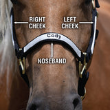 Custom Embroidered Nylon Halter, Non-Adjustable