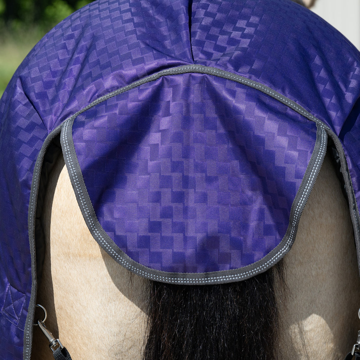 Premium Turnout Blanket, Heavy Weight 300g, 1200D