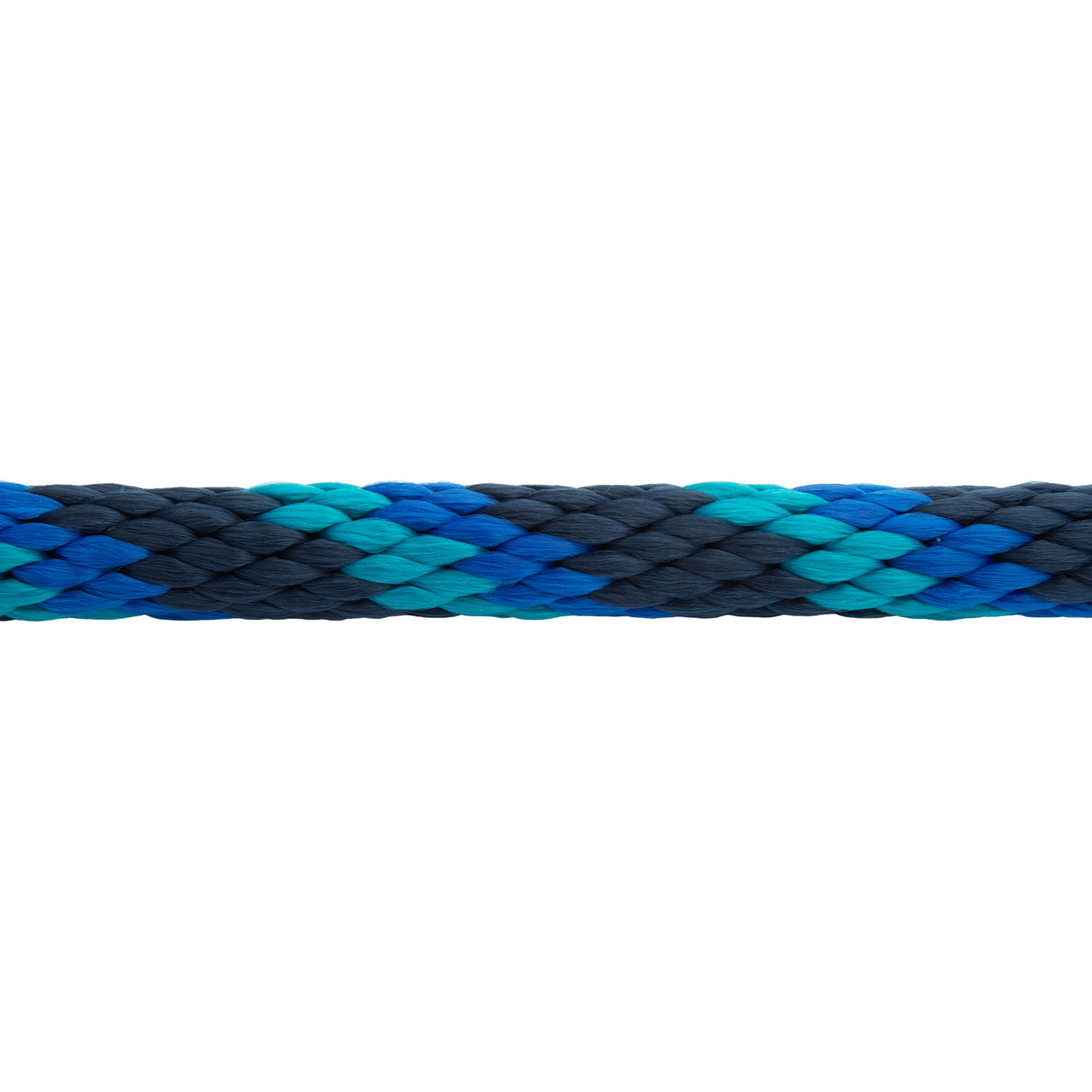 Poly Lead Rope with Brass Plated Swivel Chain