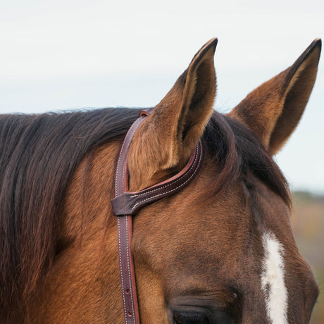 Latigo Western Headstall
