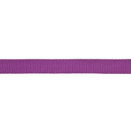 Flat Cotton Lunge Line, 1" x 30 with Nickel