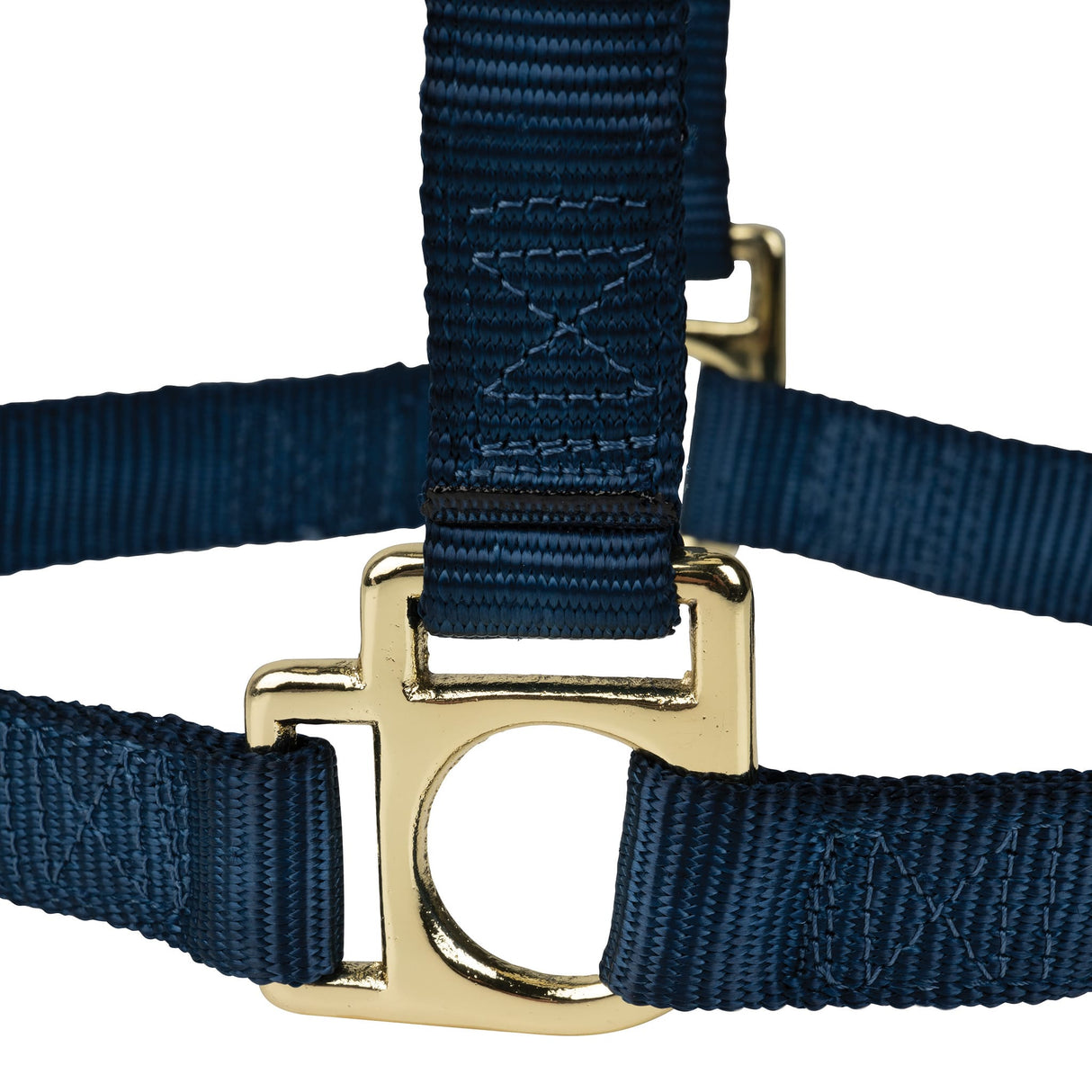 Poly Horse Halter, Non-Adjustable, Weanling to Large