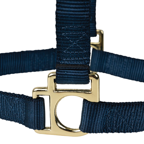 Poly Horse Halter, Non-Adjustable, Weanling to Large