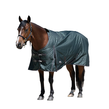 Premium Turnout Blanket, Medium Weight 200g, 600D