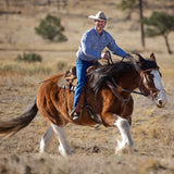 Justin Dunn Bitless Bridle, Draft