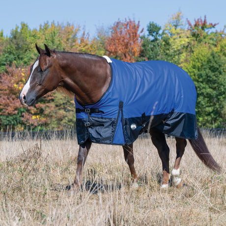 Economy Winter Turnout Blanket, Heavy Weight, 300g, 1200D