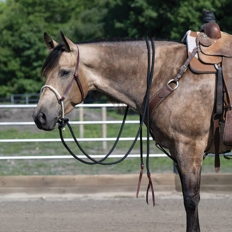 Loping Hackamore: Rope Noseband, Leather Hanger with Silvertip Split Reins