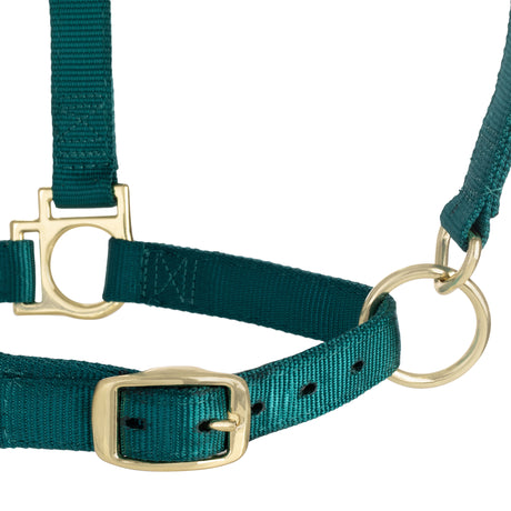 Basic Adjustable Chin and Throat Snap Halter