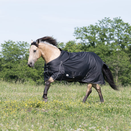 Premium Turnout Blanket, Medium Weight 200g, 600D