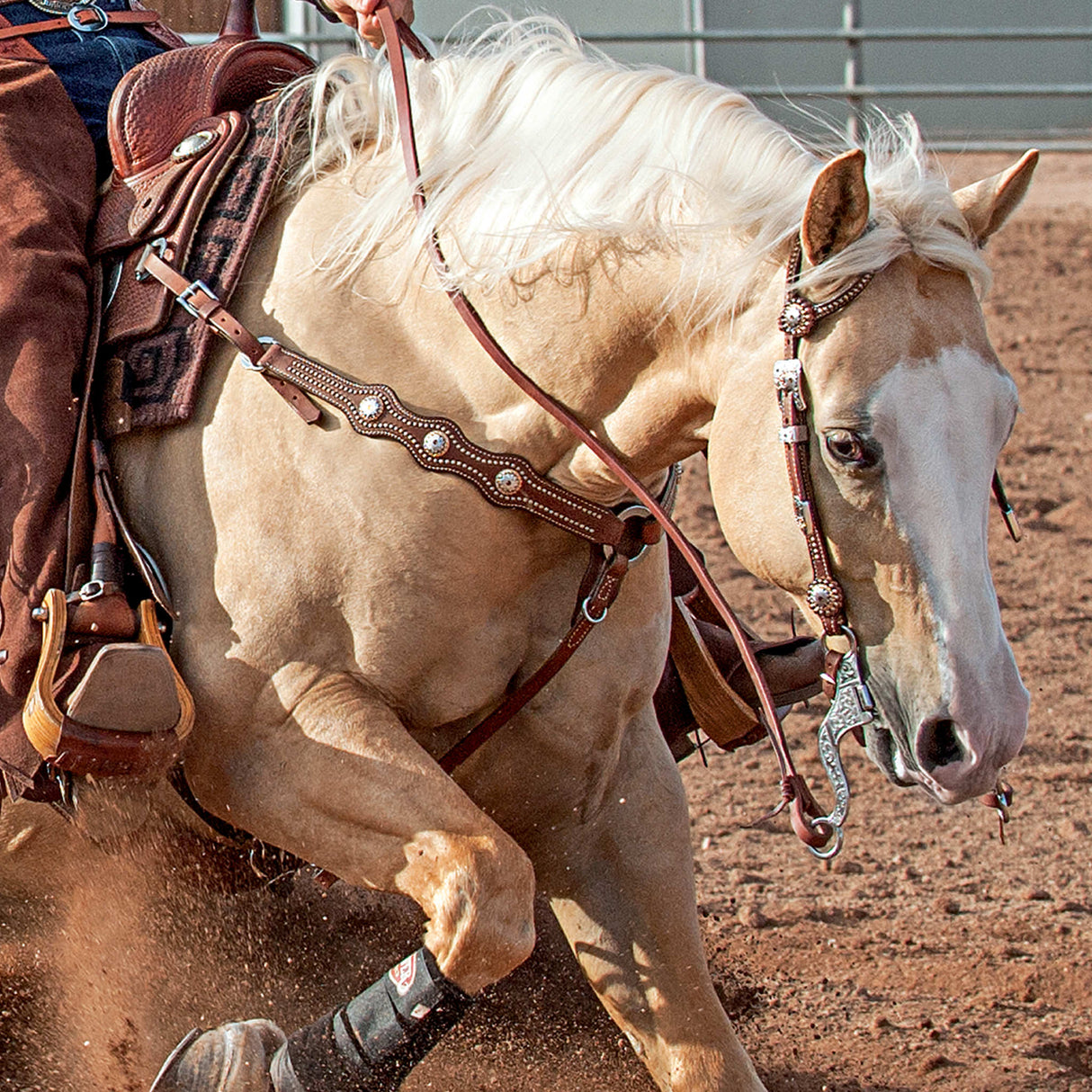 Stacy Westfall Showtime Sliding Ear Headstall