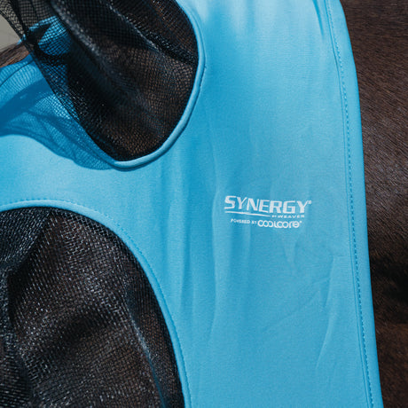 Equine Lycra® Fly Masks Powered by Coolcore®