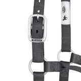 Original Non-Adjustable Nylon Halter, Chrome Plated Hardware, Average