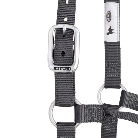Original Non-Adjustable Nylon Halter, Chrome Plated Hardware, Average