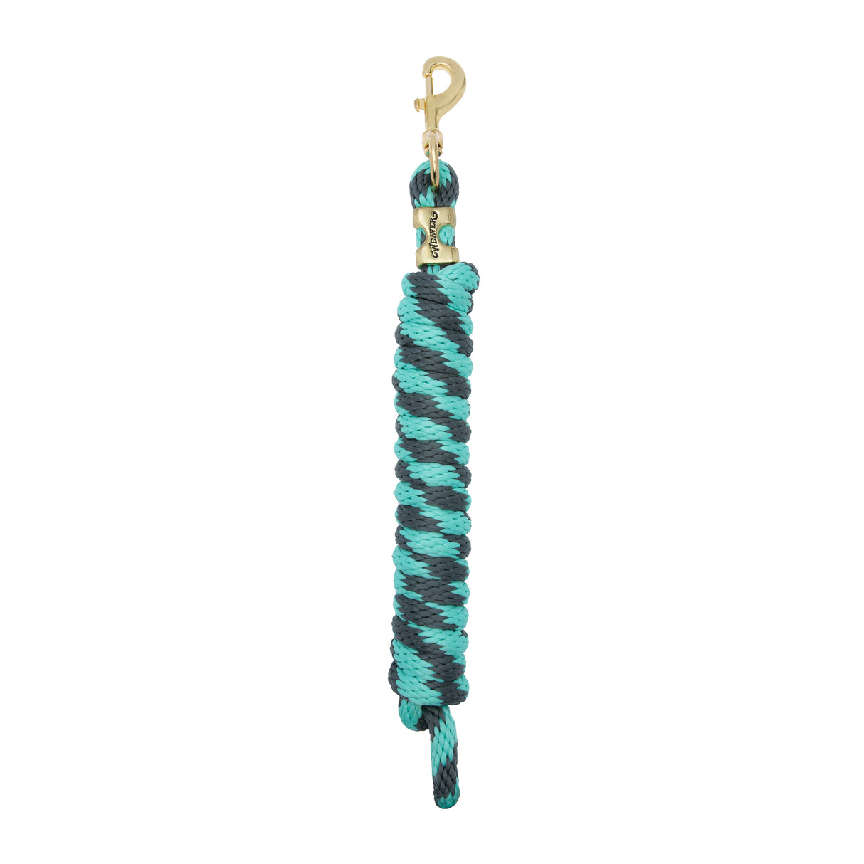 Poly Lead Rope with a Solid Brass 225 Snap