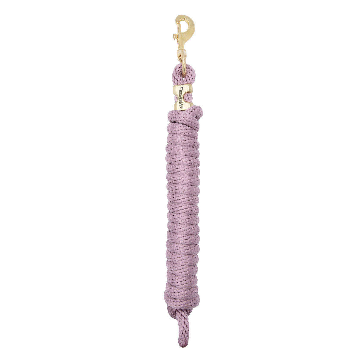 Poly Lead Rope with a Solid Brass 225 Snap