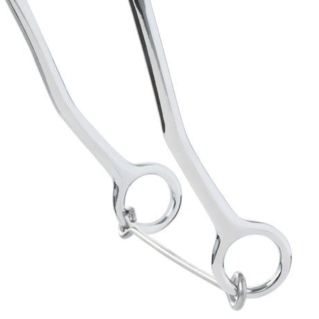 Hackamore Bit with Braided Leather Noseband