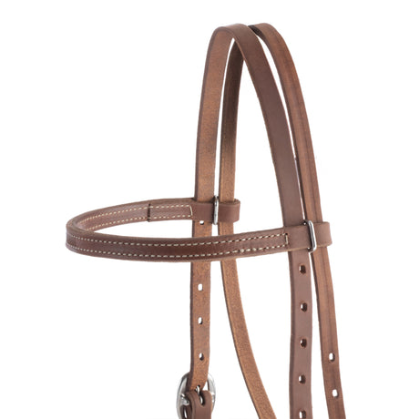 Oiled Hermann Oak Harness Leather Quick Change Headstall