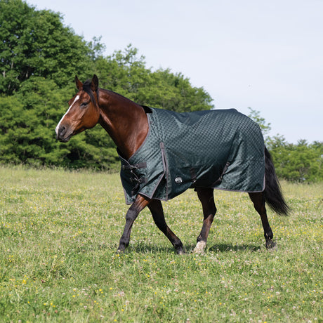Premium Turnout Blanket, Medium Weight 200g, 600D