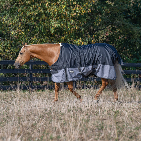 Premium Turnout Blanket, Medium Weight 200g, 600D