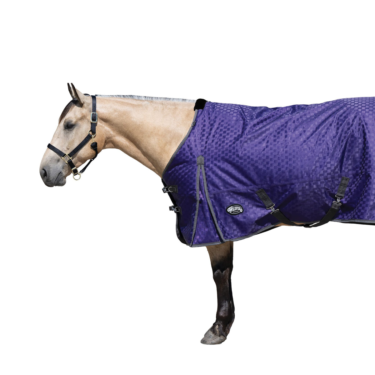Premium Turnout Blanket, Heavy Weight 300g, 1200D