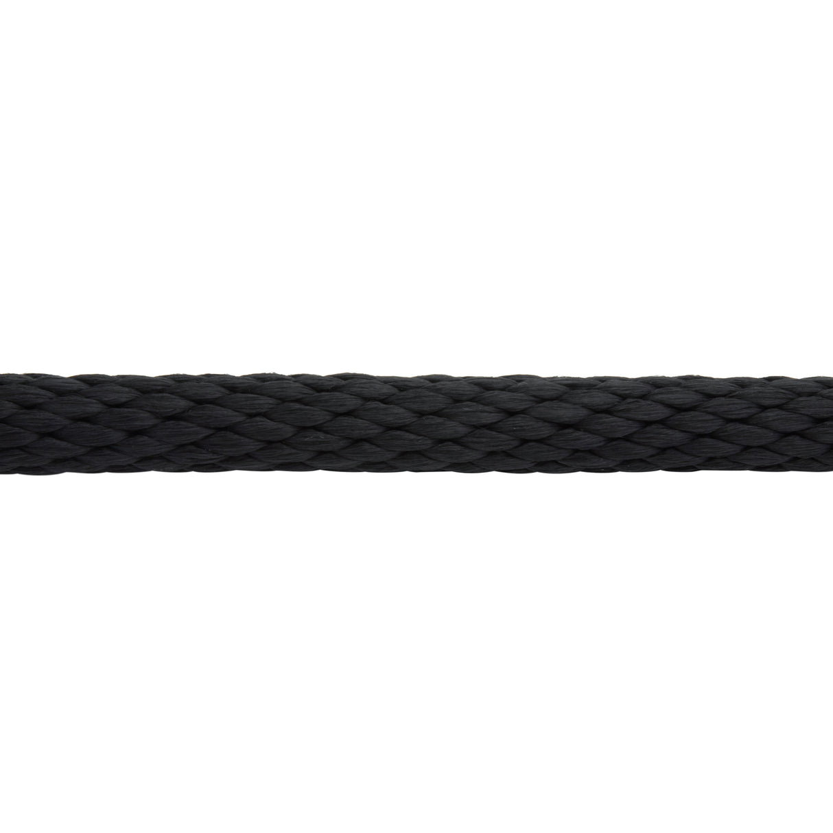 Poly Lead Rope with Brass Plated Swivel Chain