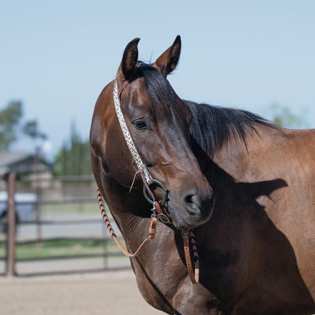 Patterned Poly Headstall