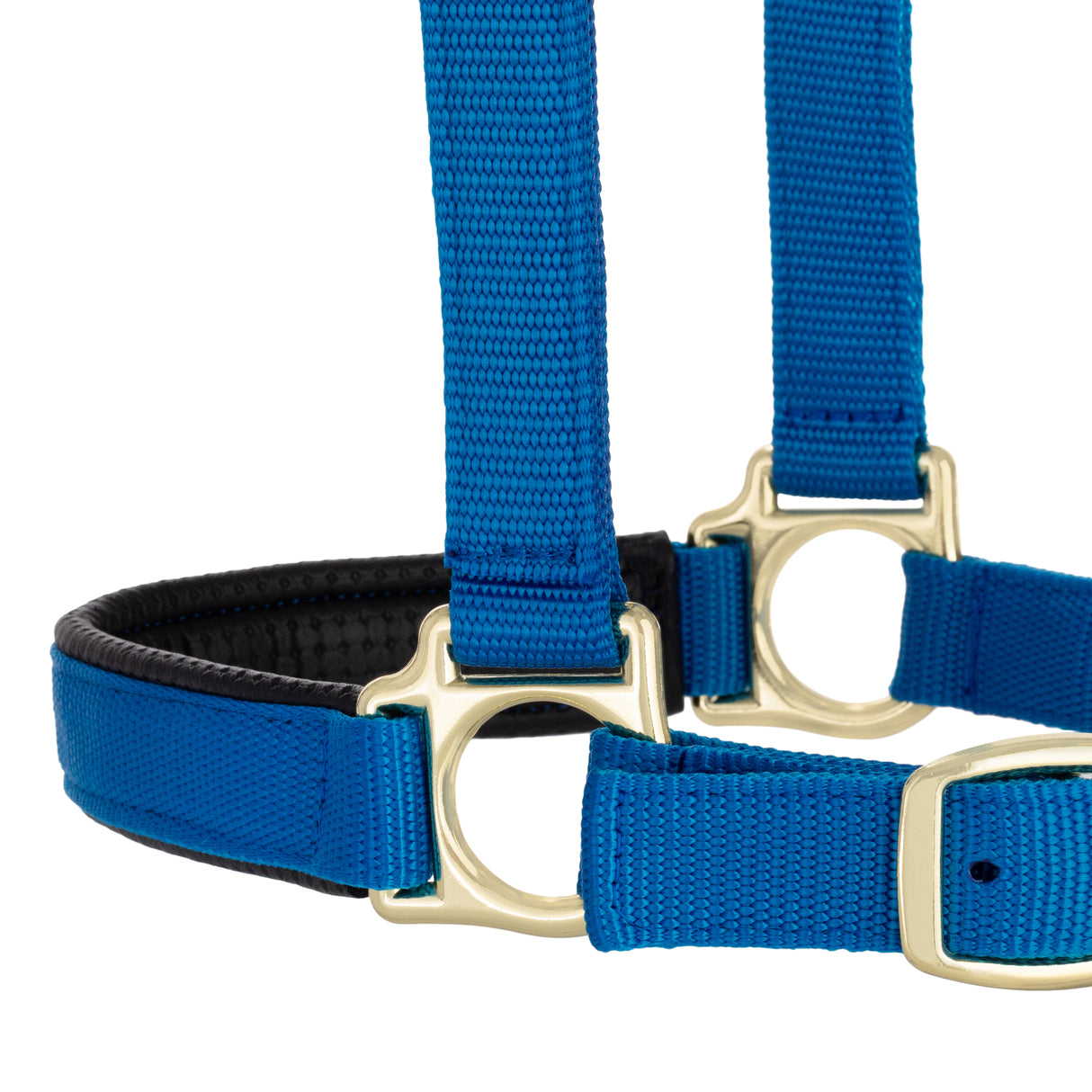 Padded Adjustable Chin and Throat Snap Halter, Solid Colors