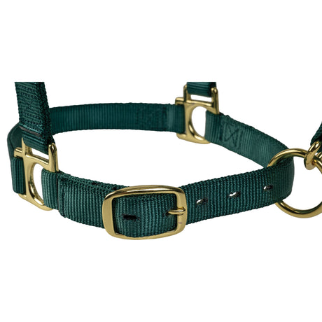 Poly Horse Halter, Adjustable, Weanling to Large