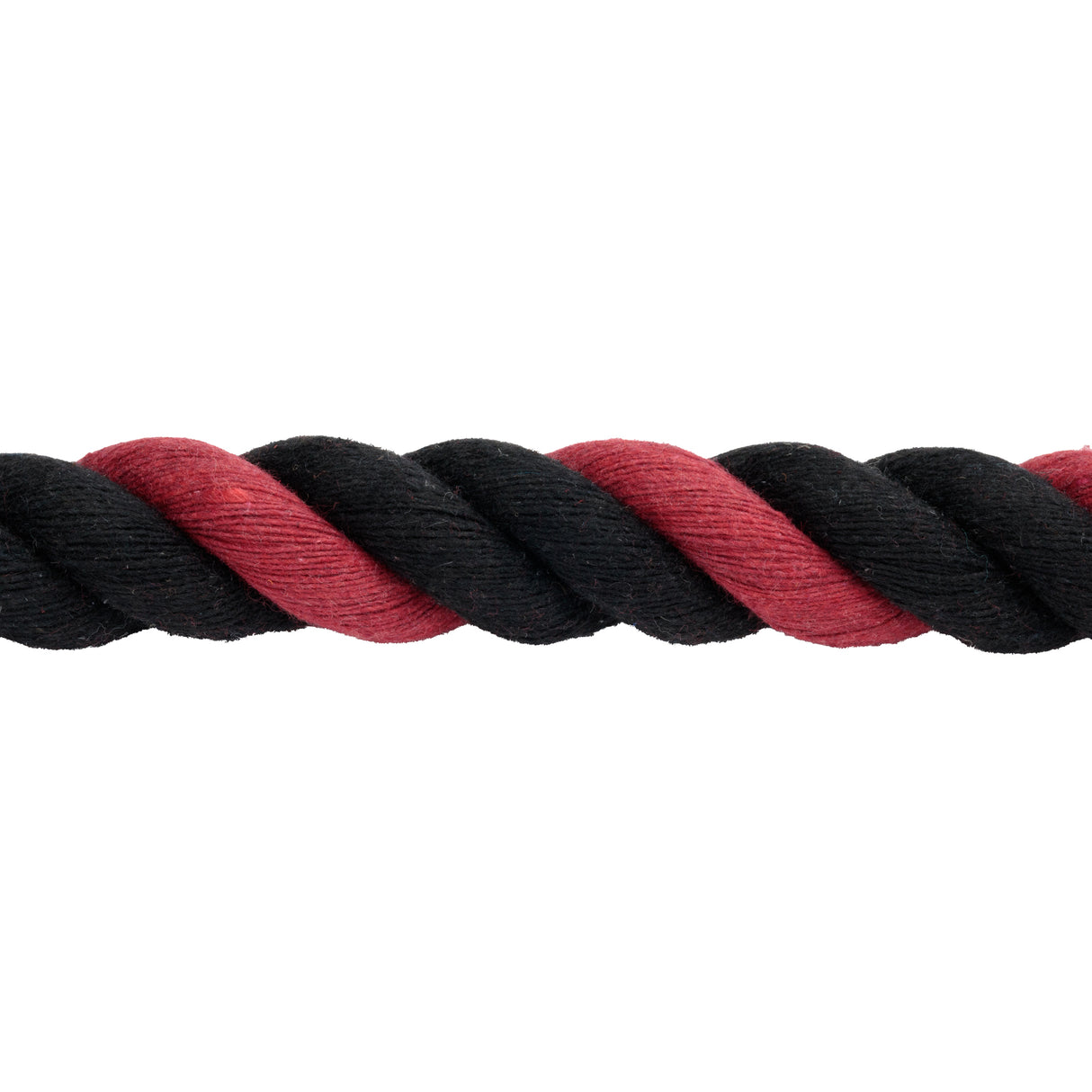 Color Cotton Lead Rope with Brass Plated 225 Snap, 5/8" x 8'