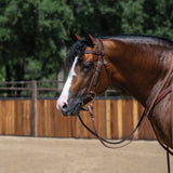 Latigo Lined Heavy Harness Leather Split Reins