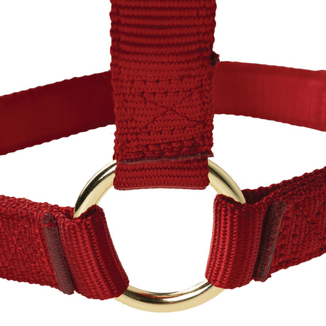 Poly Horse Halter, Non-Adjustable, Weanling to Large
