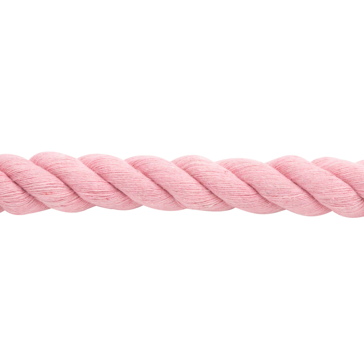 Cotton Lead Rope with Brass Plated 225 Snap, 5/8" x 10'