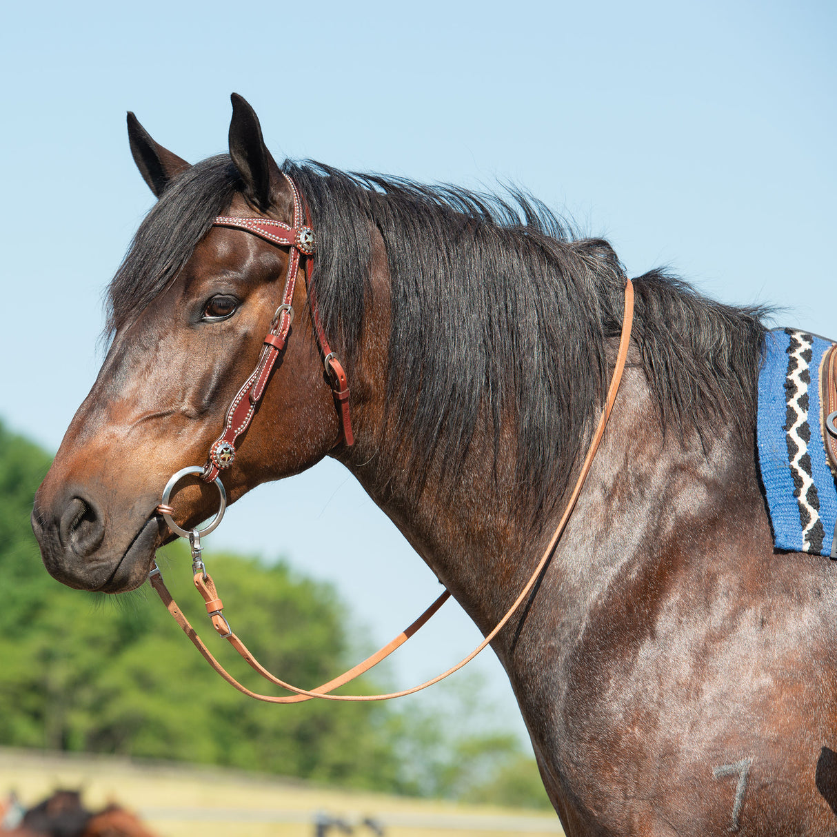 Texas Star Chestnut Browband Headstall